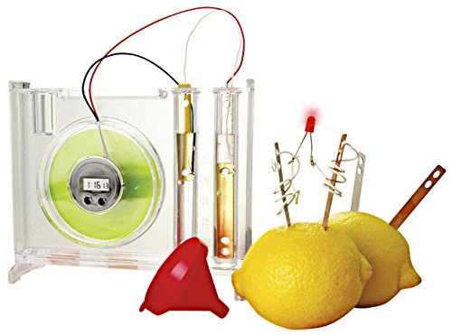 Miniland Science 99045 Natural Battery Experimentierset Elektrizität