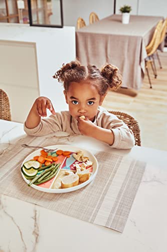 Miniland Nutrihealthy Teller mit 3 Fächern BLW