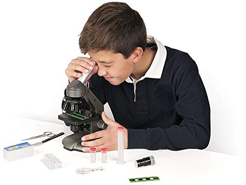 Miniland 99005 Mikroskop 640x Lernspielzeug mit Zubehör
