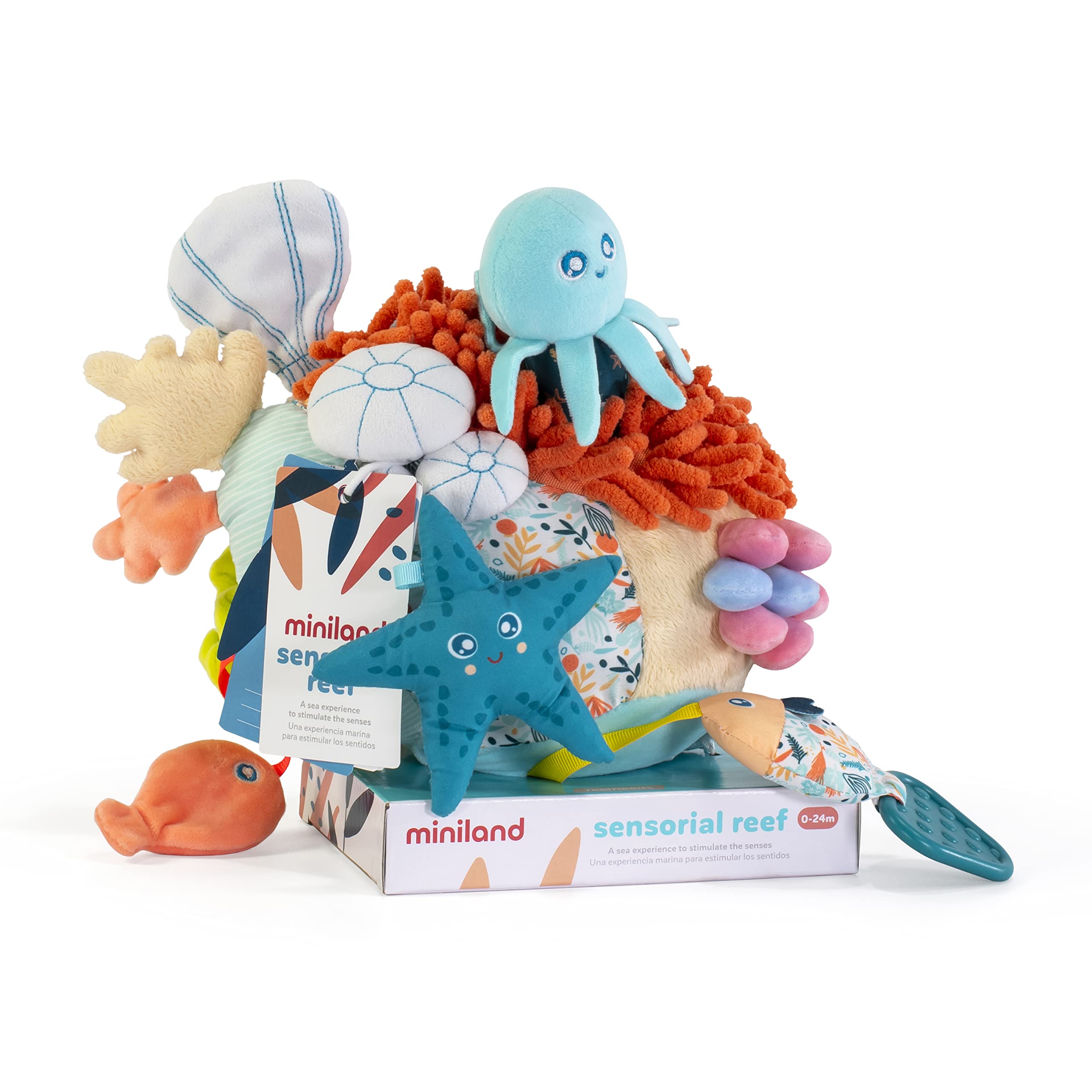 Miniland Sensorial Reef 75001 Anhänger Babyspielzeug Korallenriff