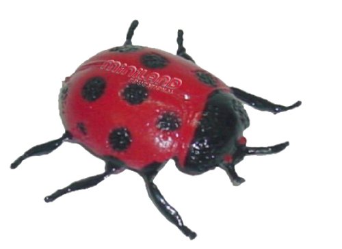 Miniland 27480 Insekten Spielfiguren 12 Figuren in Dose
