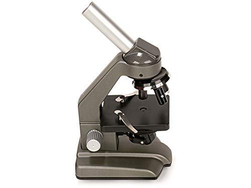Miniland 99005 Mikroskop 640x Lernspielzeug mit Zubehör